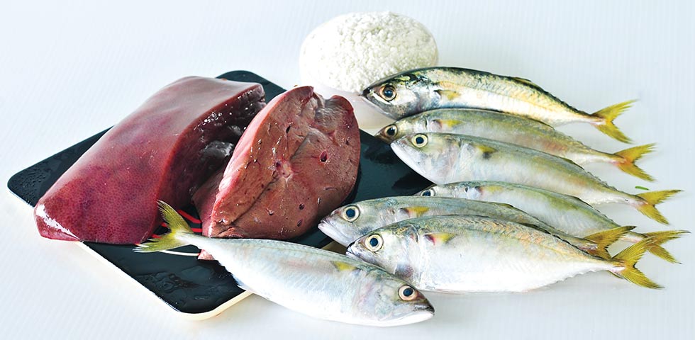 Yediklerimizle genç kalalım