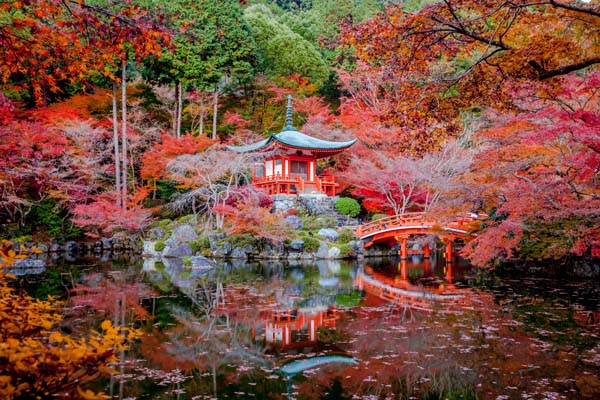 DOĞAL GÜZELLİKLERİYLE SONBAHAR MANZARALARI