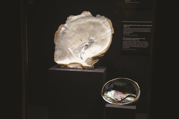 TÜRK İSLAM ESERLERİ MÜZESİ’NDE  “İNCİ, DENİZDEKİ MÜCEVHER”