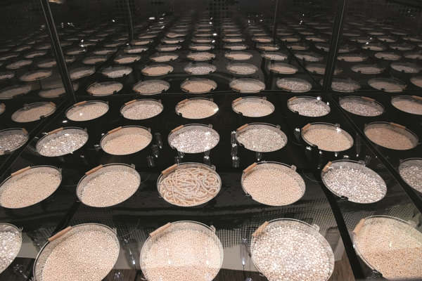 TÜRK İSLAM ESERLERİ MÜZESİ’NDE  “İNCİ, DENİZDEKİ MÜCEVHER”