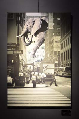 MERVE HASMAN’IN YENİ SERGİSİ ‘YOL’  