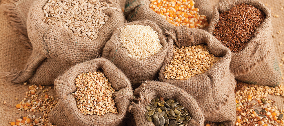 SAĞLIKLI ATIŞTIRMALIK OLAN YAĞLI TOHUMLARIN KALORİ DEĞERLERİ ÇOK YÜKSEK MİDİR? 