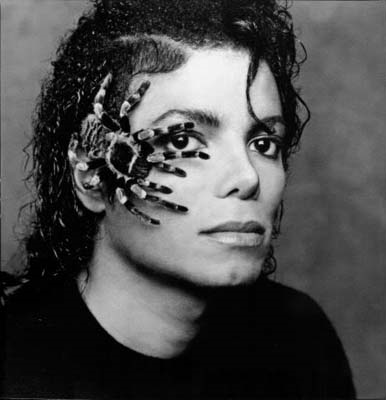 GREG GORMANIN OBJEKTİFİNDEN ÜNLÜLER