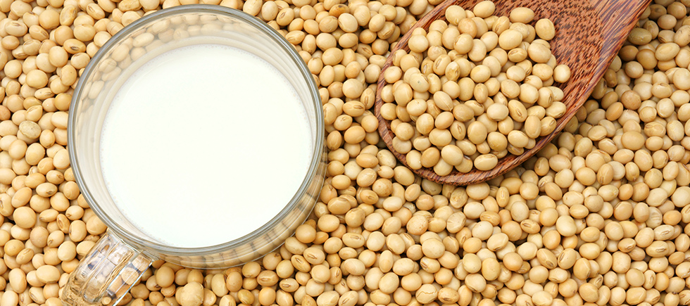 TÜRKİYE'NİN BESLENME REHBERİ YENİLENDİ