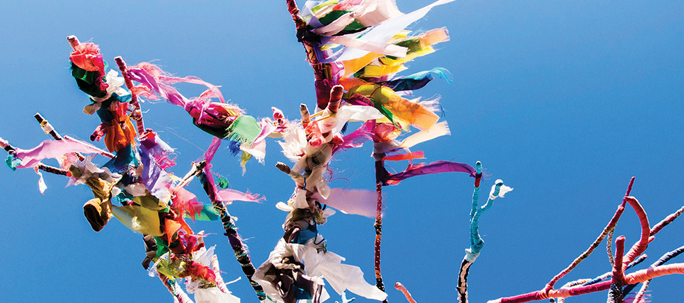 GÖZDE TÜRKKAN’DAN THE EMPİRE PROJECT’TE “DİLEK AĞACI”