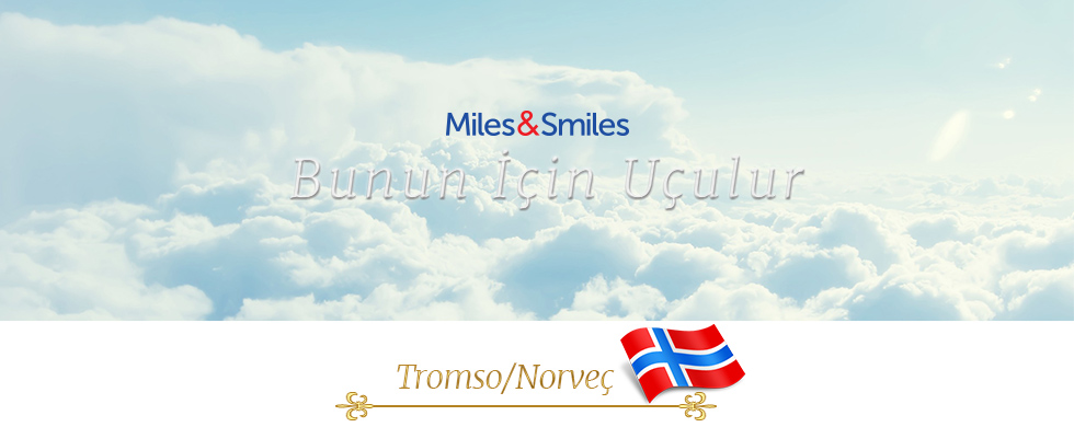 KUZEY IŞIKLARI, REN GEYİKLERİ VE YENİ YIL!