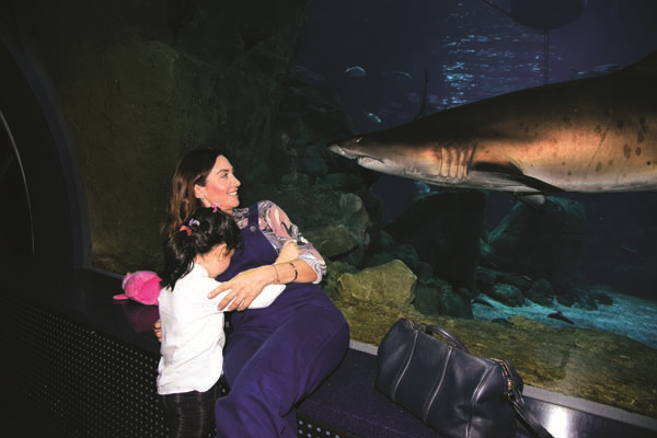 ANNELERDEN ÇOCUKLARINA YENİ YIL HEDİYESİ,  “SEVGİ DENİZİ”