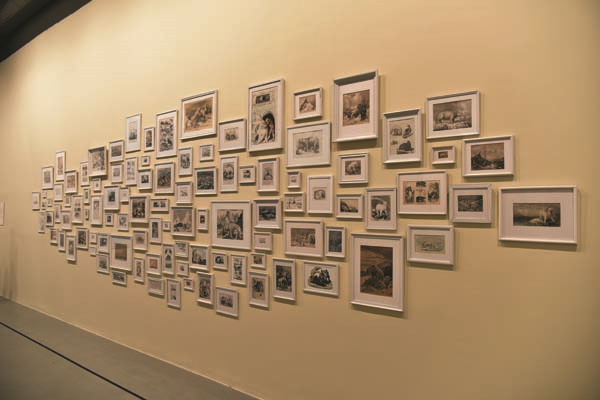 İSTANBUL MODERN MÜZE’DE  DOĞAL HAYATI KORUMA ZAMANI