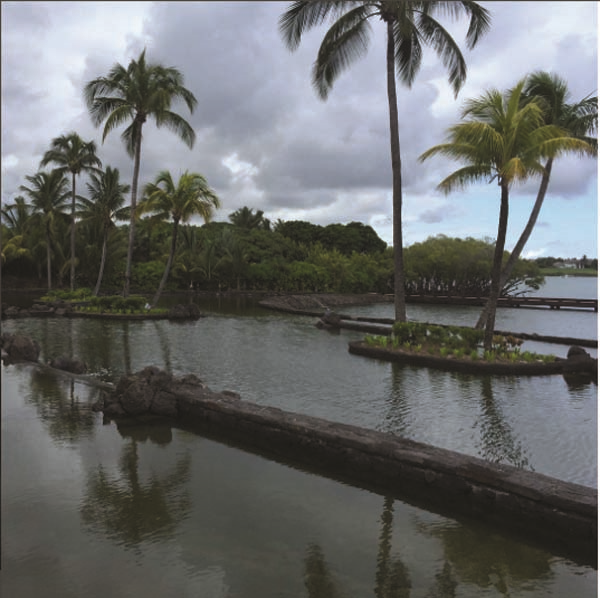 CEMİYET HAYATININ  INSTAGRAM GÜNLÜĞÜ