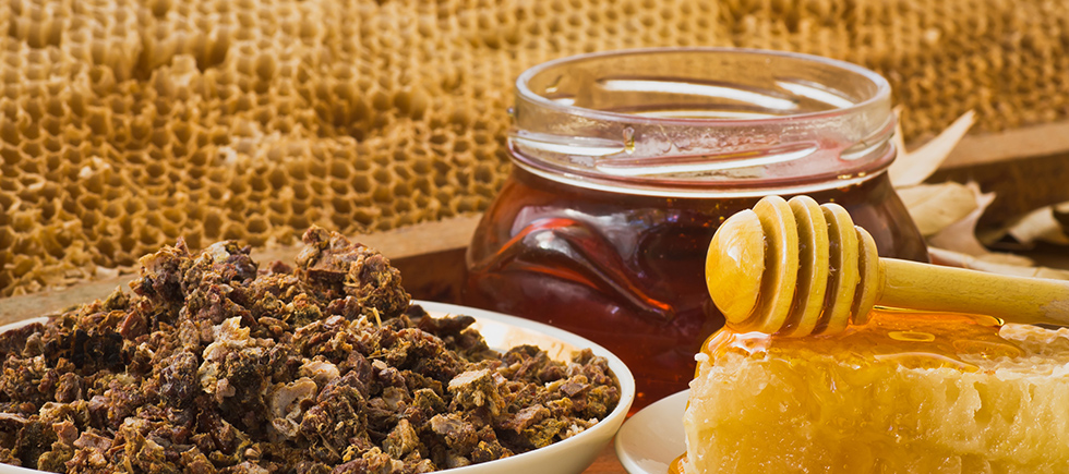 DÜNYANIN EN GÜÇLÜ ANTİOKSİDANI PROPOLİS MUCİZESİNİ BEDENİNDE HİSSET 