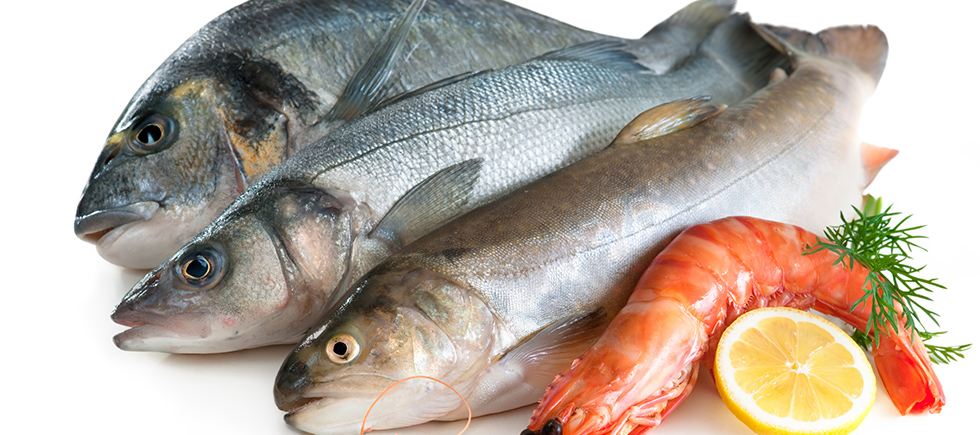 HAMİLELİKTE BAZI BALIKLARDA BULUNAN CİVA GİBİ AĞIR METALLER BEBEĞE ZARAR VERİR Mİ?