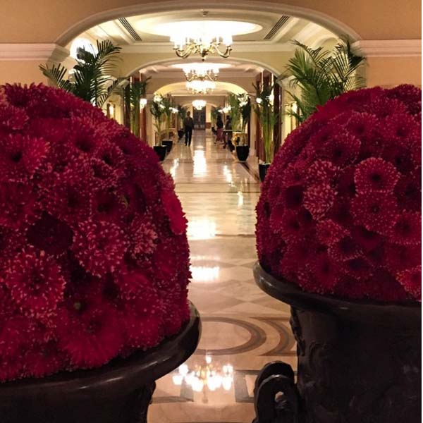 ÇAPA AİLESİNİN HİNDİSTAN GEZİSİ