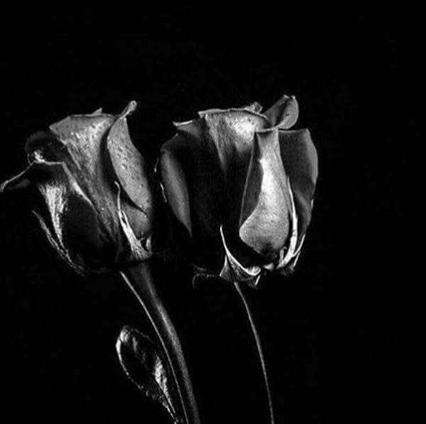 ÜNLÜ İSİMLERDEN ANKARA TEPKİLERİ