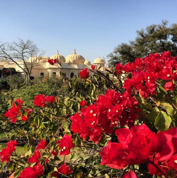 ÇAPA AİLESİNİN HİNDİSTAN GEZİSİ