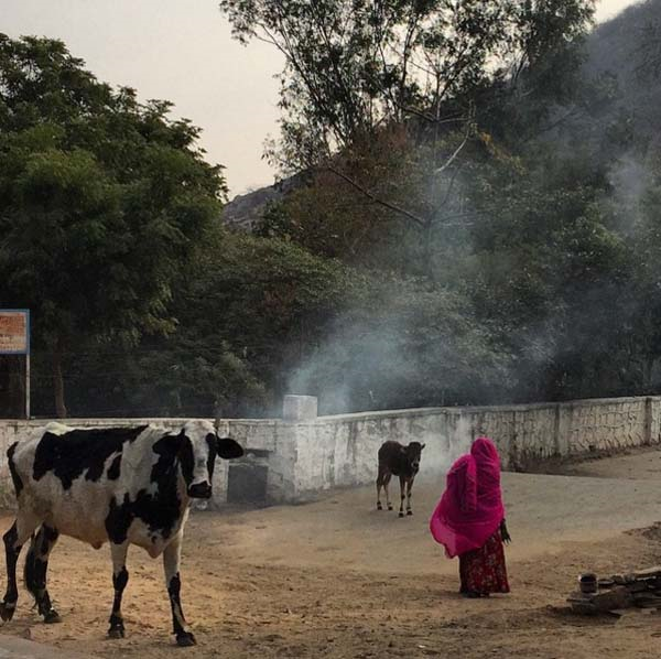 ÇAPA AİLESİNİN HİNDİSTAN GEZİSİ