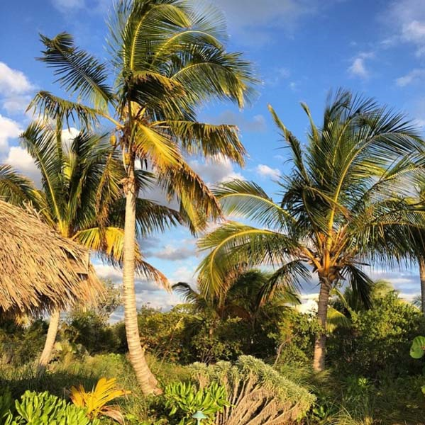 YAKIN DOSTLARIN BAHAMALAR TATİLİ