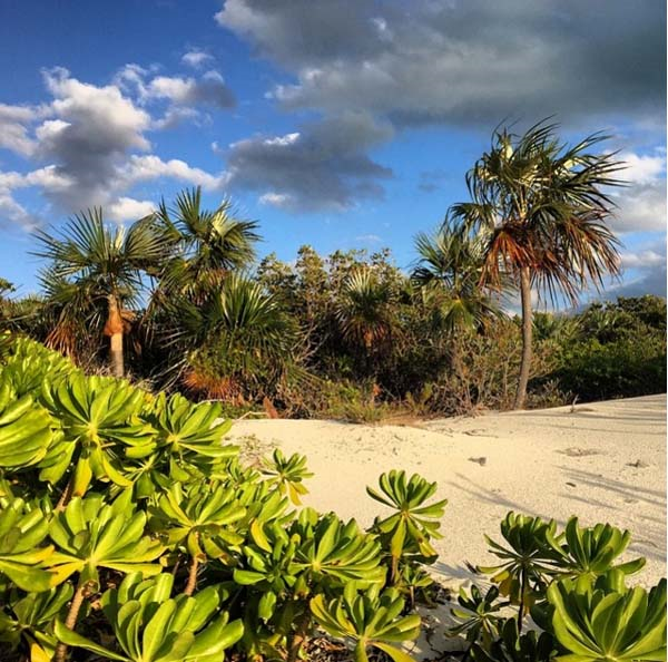 YAKIN DOSTLARIN BAHAMALAR TATİLİ