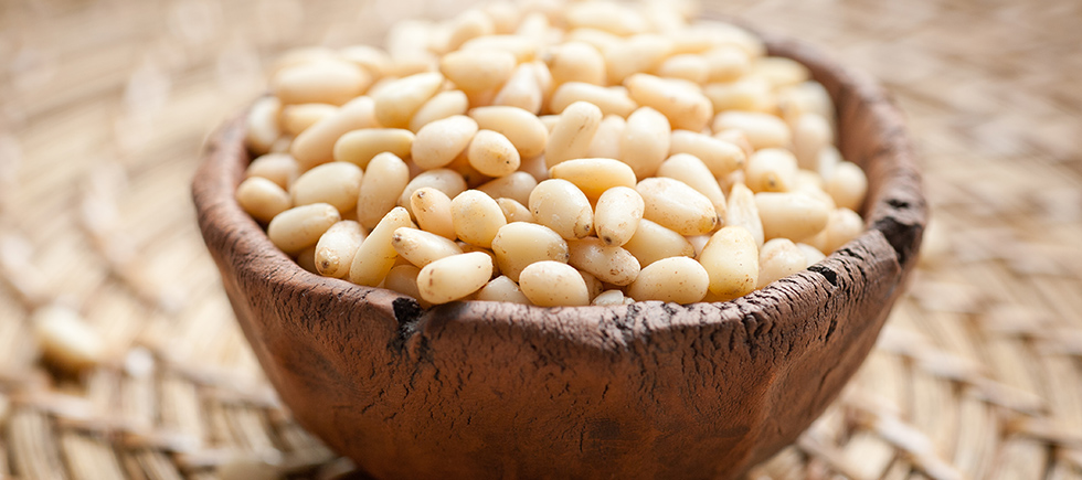 ÇAM FISTIĞININ YARARLARI NELERDİR? 