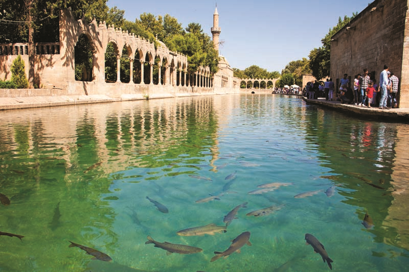 ANADOLU’NUN GİRİŞİMCİ KADINLARI  BAŞARI HİKAYELERİNİ ANLATTILAR