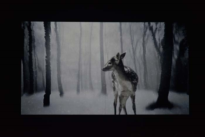  MBFW İSTANBUL 2016 DİCE KAYEK KOLEKSİYONU