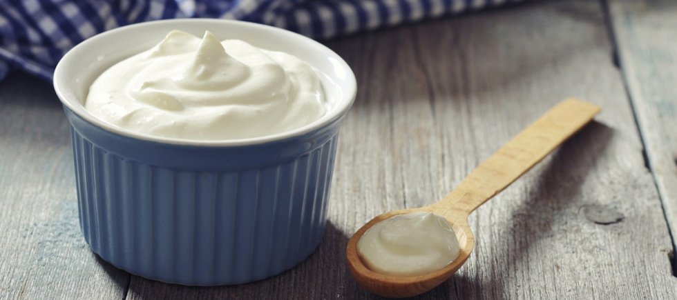 SAĞLIKLI FORMÜL: KENEVİR TOHUMLU YAĞ YAKICI YOĞURT