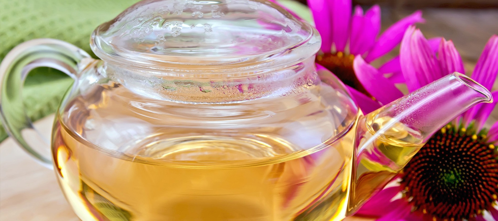 METABOLİZMAYI HIZLANDIRAN MATE EKİNEZYA ÇAYI TARİFİ 