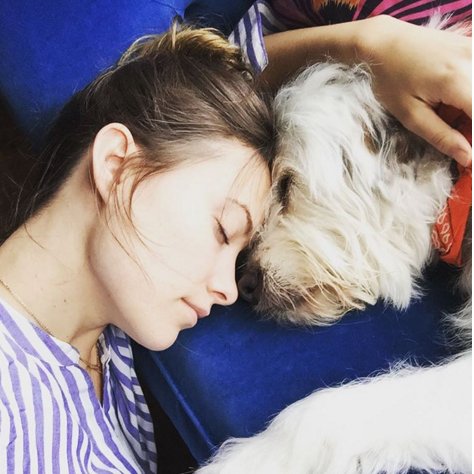 YILDIZ İSİMLER DÜNYA HAYVANLAR GÜNÜNÜ BÖYLE KUTLADI