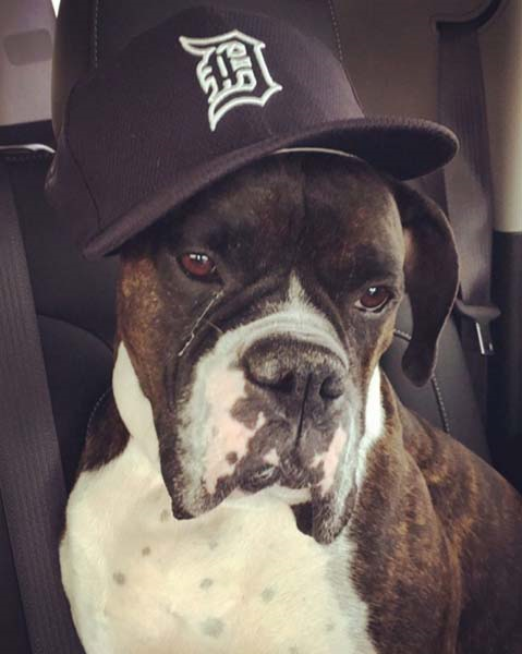 YILDIZ İSİMLER DÜNYA HAYVANLAR GÜNÜNÜ BÖYLE KUTLADI