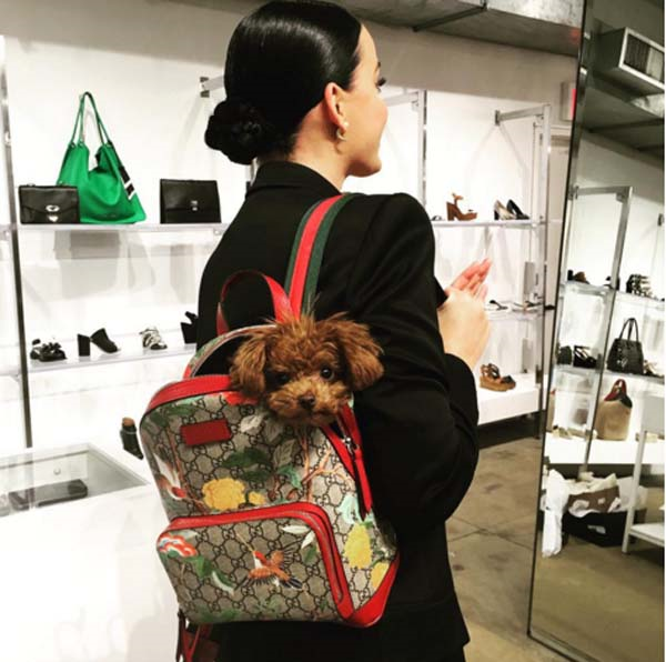 YILDIZ İSİMLER DÜNYA HAYVANLAR GÜNÜNÜ BÖYLE KUTLADI