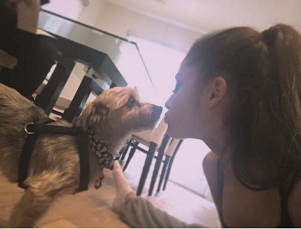 YILDIZ İSİMLER DÜNYA HAYVANLAR GÜNÜNÜ BÖYLE KUTLADI