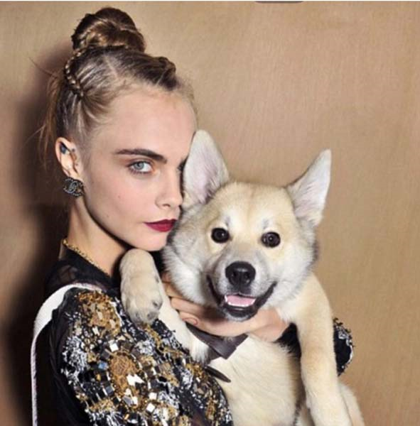 YILDIZ İSİMLER DÜNYA HAYVANLAR GÜNÜNÜ BÖYLE KUTLADI