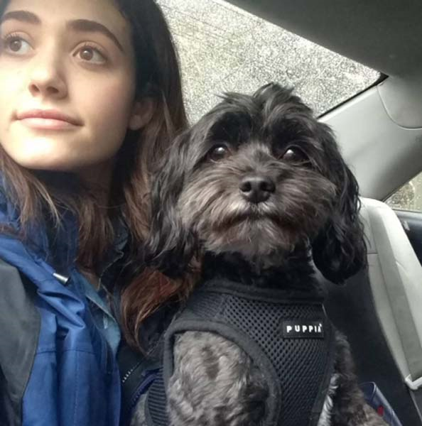 YILDIZ İSİMLER DÜNYA HAYVANLAR GÜNÜNÜ BÖYLE KUTLADI