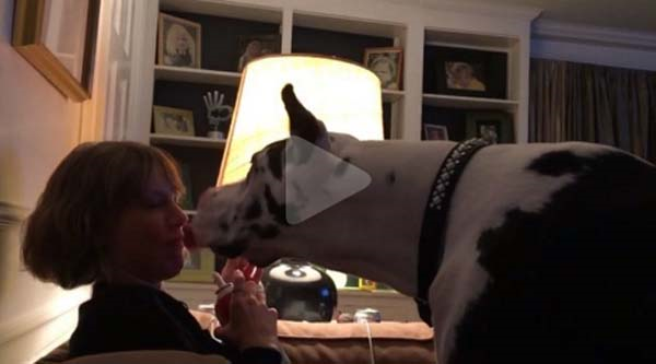 YILDIZ İSİMLER DÜNYA HAYVANLAR GÜNÜNÜ BÖYLE KUTLADI