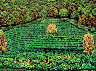 HÜSEYİN SARTAŞ İLE KIRLARIN BÜYÜLÜ DÜNYASINDA