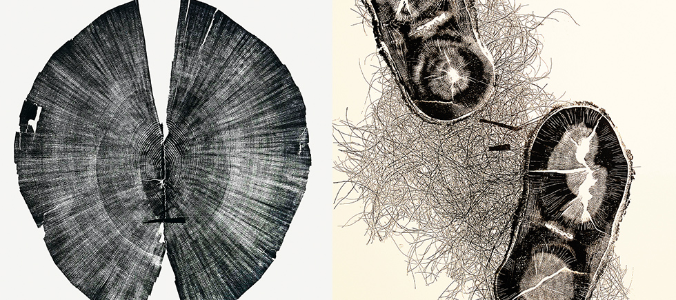 SİYAH VE BEYAZIN ZIT GÜCÜ  BENGİSU’NUN BASKI RESİMLERİNDE