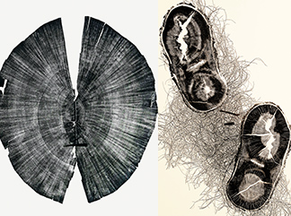 SİYAH VE BEYAZIN ZIT GÜCÜ  BENGİSU’NUN BASKI RESİMLERİNDE