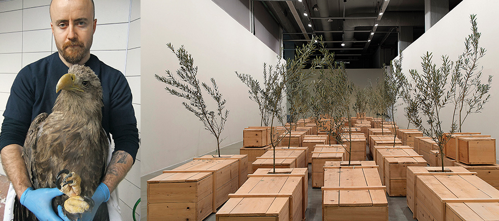 YOKO ONO’NUN ZEYTİN AĞAÇLARI  İSTANBUL MODERN’DE SERGİLENDİ