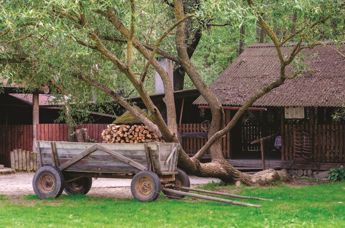 DİNGİNLİĞİN KUCAĞINDA BELARUS