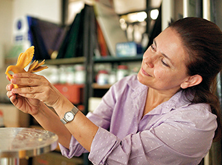 CAM SANATÇILARI, TOPHANE-İ AMİRE  SARNIÇ GALERİLERİ’NDE