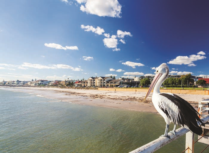 AVUSTRALYA’NIN EŞSİZ ŞARAP ROTASI;  ADELAİDE