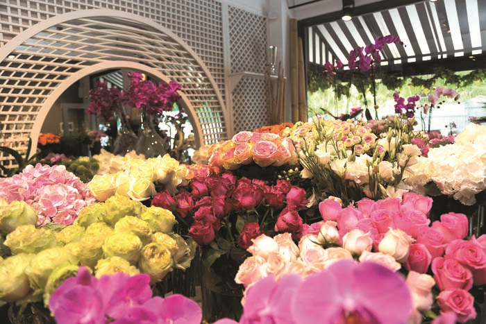 ÇİÇEKLİ FİKİRLER