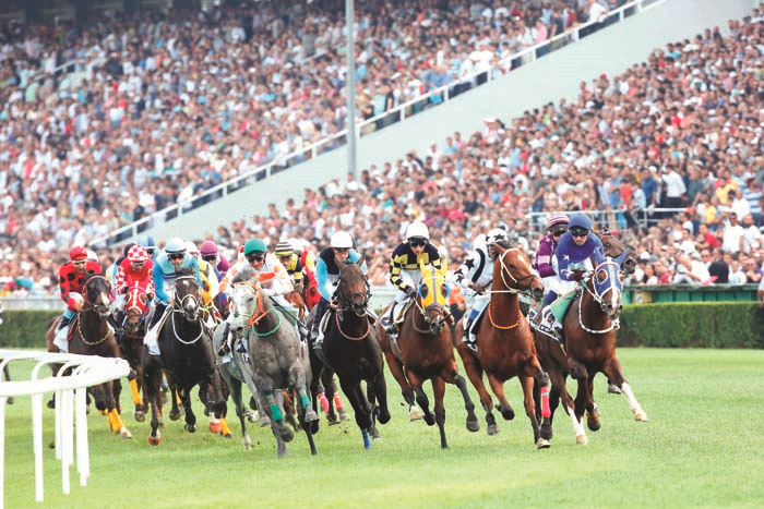 VELİ EFENDİ HİPODROMU’NDAKİ. GAZİ KOŞUSU, GRAYSTORM’UN 