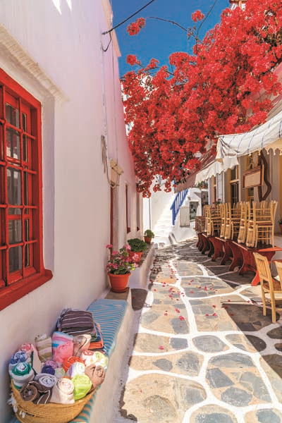 ARKADAŞLARINA ADAYI GEZDİRDİ