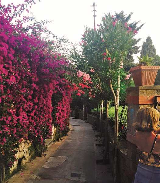 DİLEK HANİF’İN CAPRİ REHBERİ