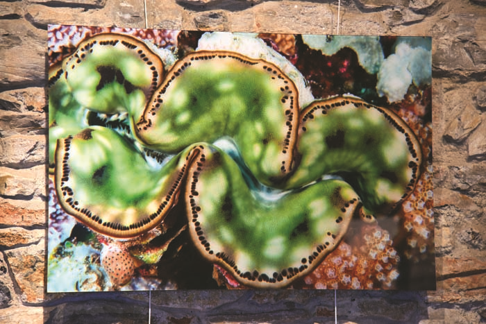 AYŞEGÜL DİNÇKÖK’ÜN DERİN TUTKU AIR  SERGİSİ BODRUM’DA