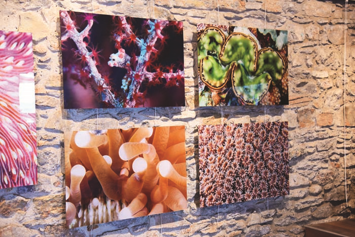 AYŞEGÜL DİNÇKÖK’ÜN DERİN TUTKU AIR  SERGİSİ BODRUM’DA