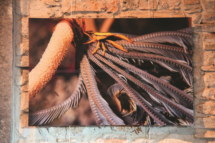 AYŞEGÜL DİNÇKÖK’ÜN DERİN TUTKU AIR  SERGİSİ BODRUM’DA