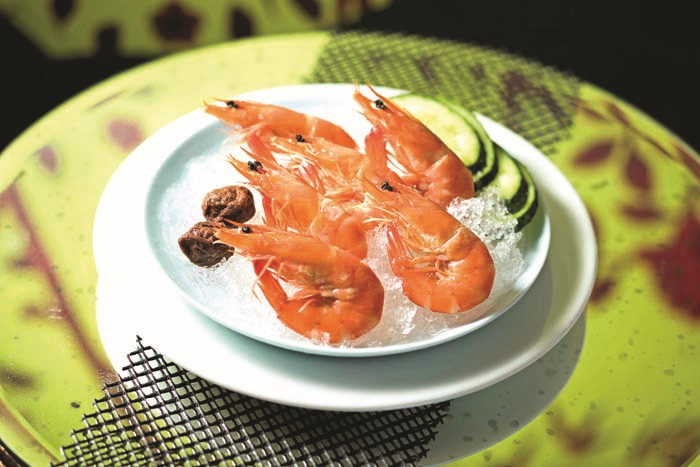 İPEK AYAYDIN ABDİKİN LONDRASI