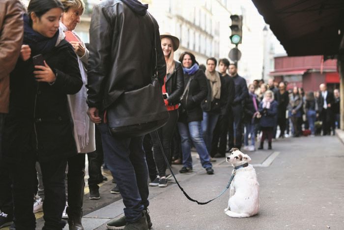 SCARLETT MISIRCI OLDU 