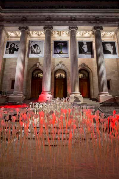 ŞEHRE BÜYÜLÜ DOKUNUŞ